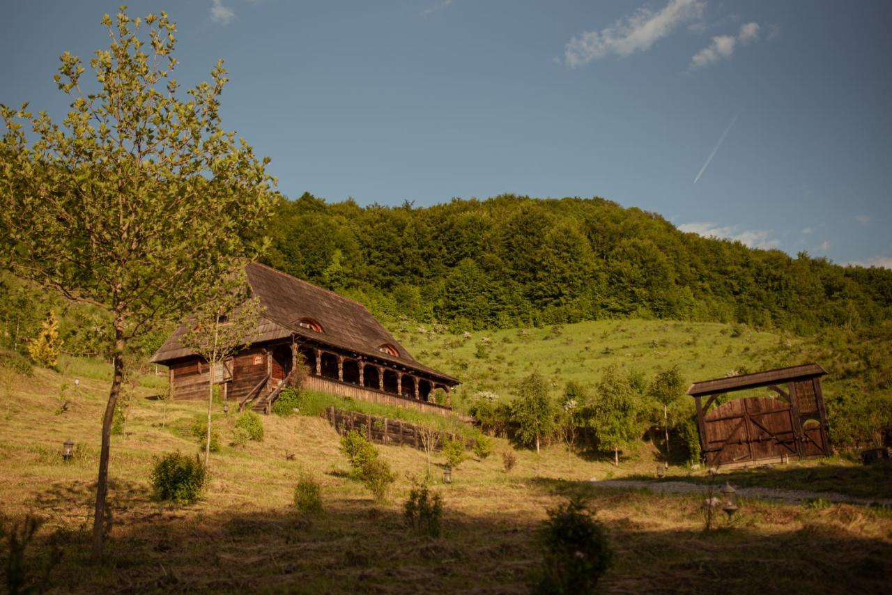 Raven's Nest - The Hidden Village, Transylvania - Romania Sub Piatra Buitenkant foto